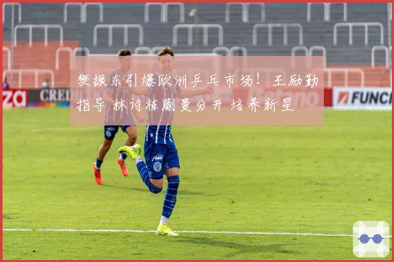 樊振东引爆欧洲乒乓市场！王励勤指导 林诗栋蒯曼分开 培养新星